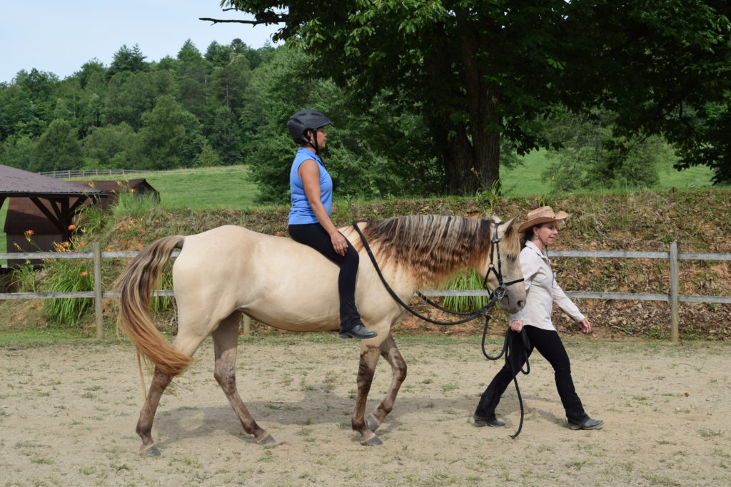 Body Mind Equine Being Led