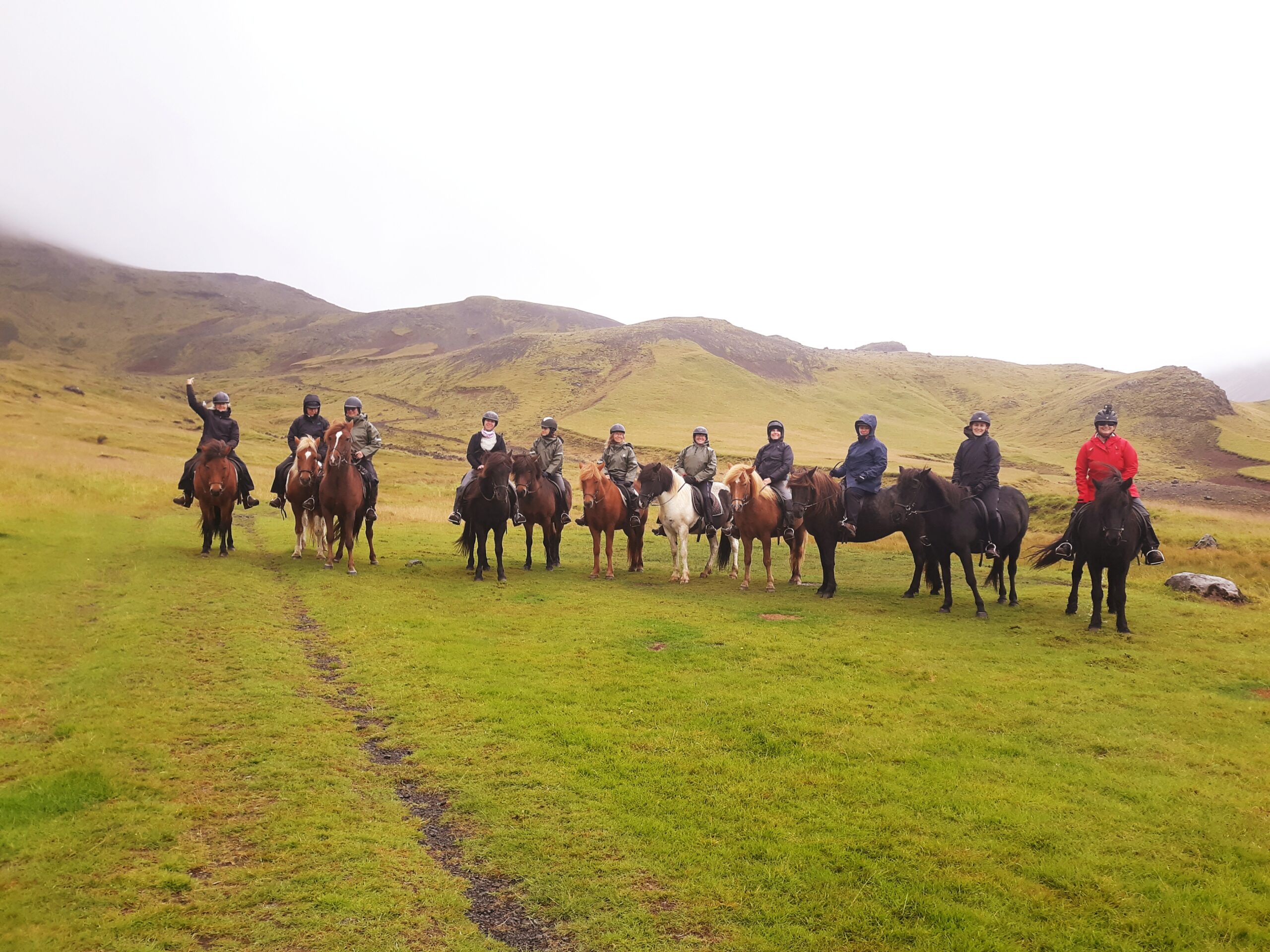 Iceland group