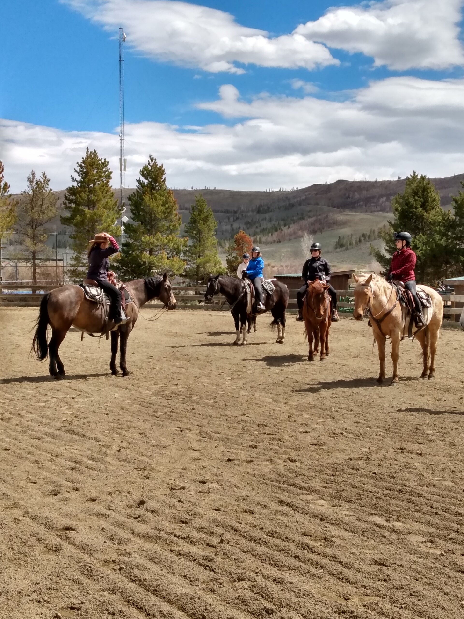 mounted teaching